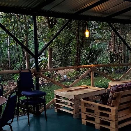 Kizumba House Pansiyon Arusha Dış mekan fotoğraf