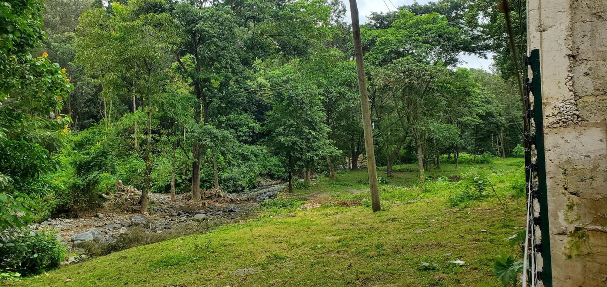 Kizumba House Pansiyon Arusha Dış mekan fotoğraf