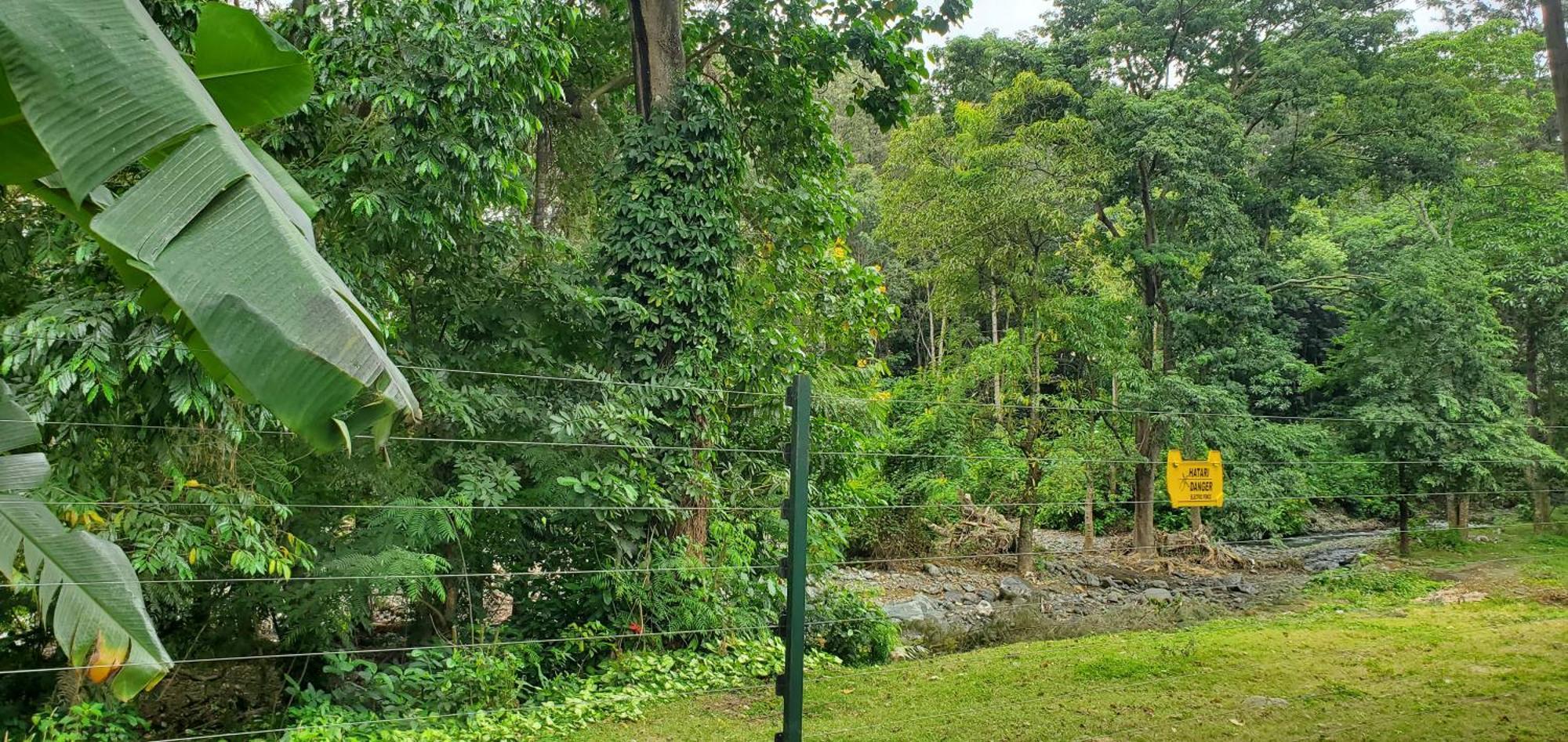 Kizumba House Pansiyon Arusha Dış mekan fotoğraf