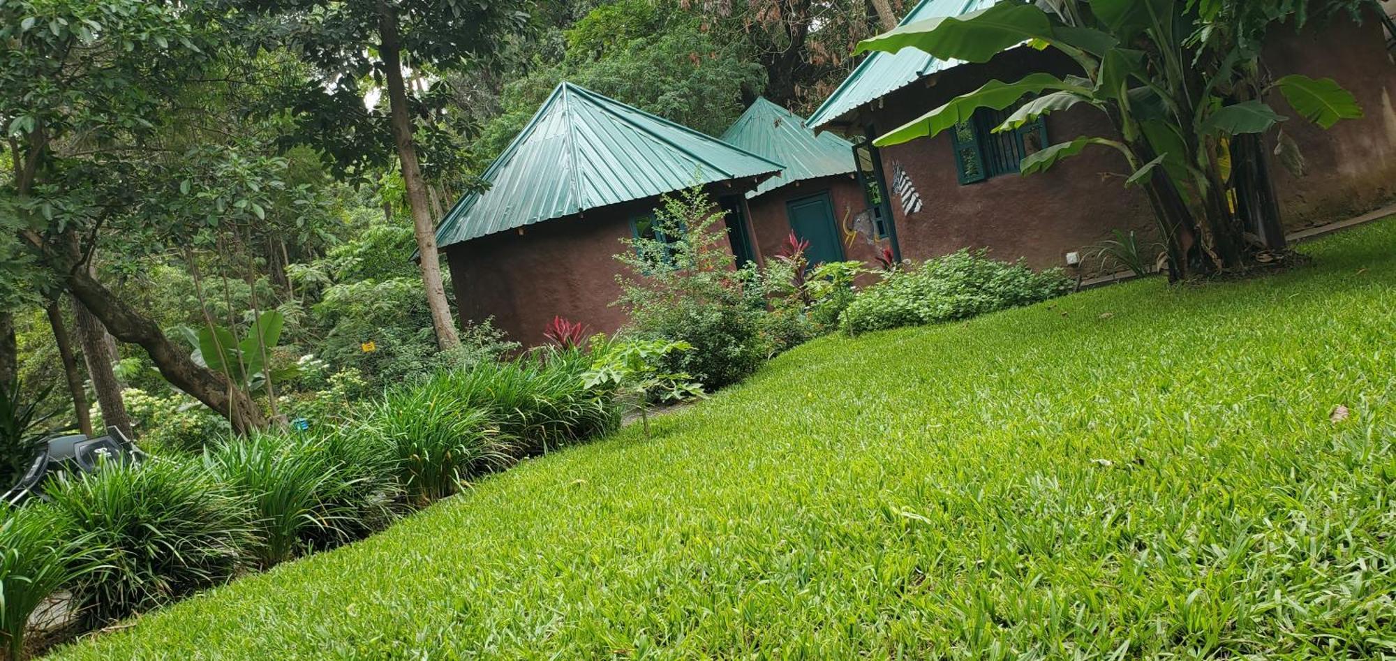 Kizumba House Pansiyon Arusha Dış mekan fotoğraf