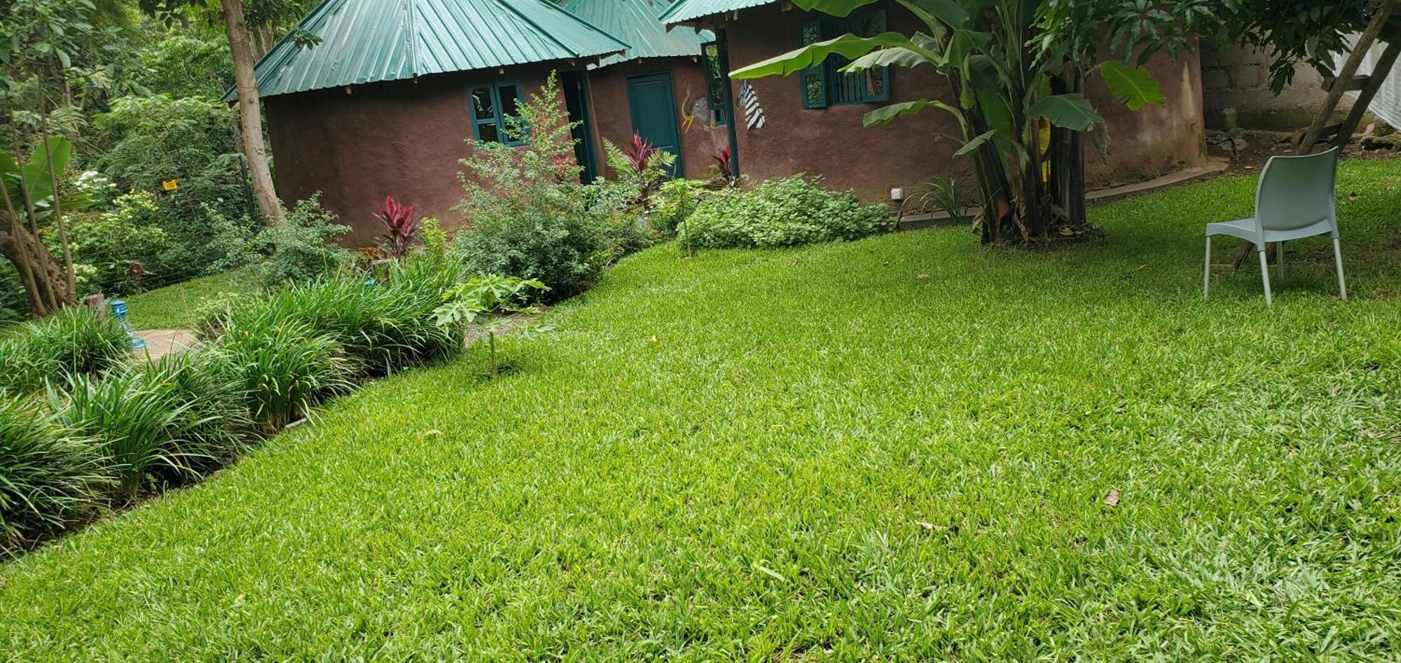 Kizumba House Pansiyon Arusha Dış mekan fotoğraf